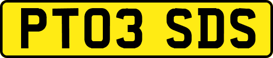 PT03SDS