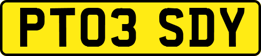 PT03SDY