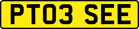 PT03SEE