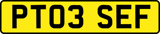 PT03SEF