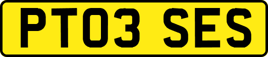 PT03SES