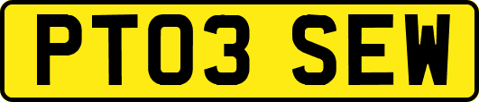 PT03SEW
