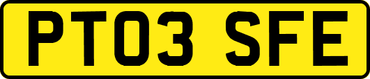 PT03SFE