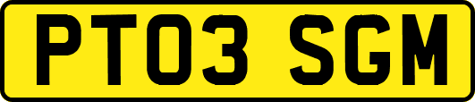 PT03SGM