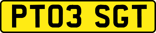 PT03SGT