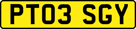 PT03SGY