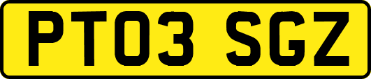 PT03SGZ