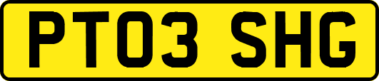 PT03SHG