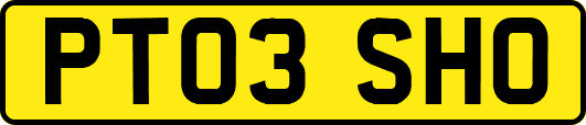 PT03SHO