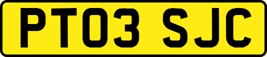 PT03SJC