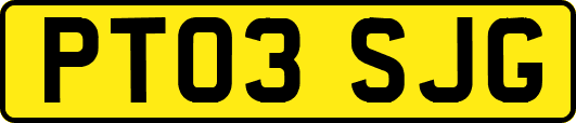 PT03SJG