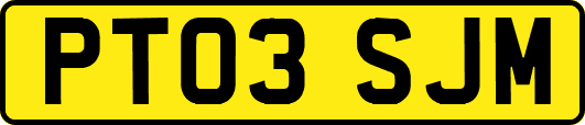 PT03SJM