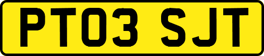 PT03SJT