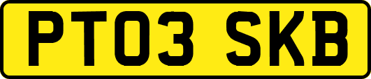 PT03SKB