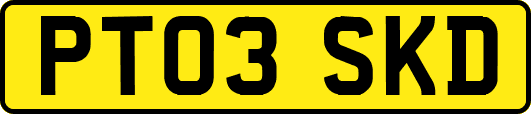 PT03SKD
