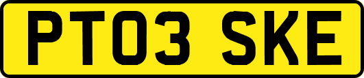 PT03SKE