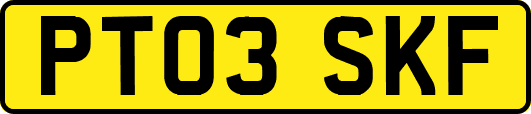 PT03SKF
