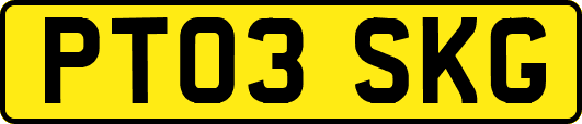 PT03SKG