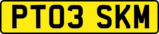 PT03SKM