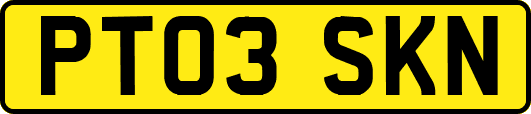 PT03SKN