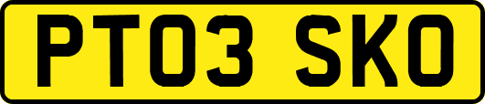 PT03SKO