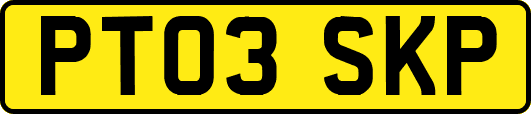 PT03SKP