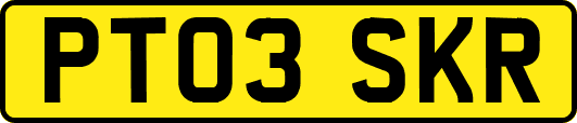 PT03SKR