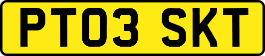 PT03SKT