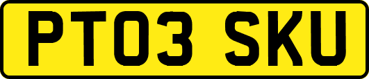 PT03SKU