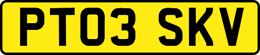 PT03SKV