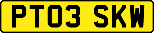PT03SKW