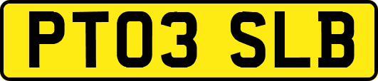 PT03SLB