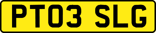 PT03SLG