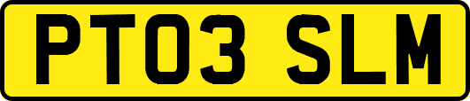 PT03SLM