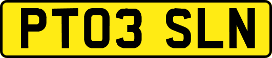PT03SLN