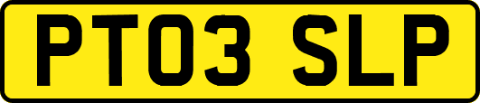 PT03SLP