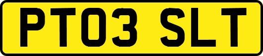 PT03SLT