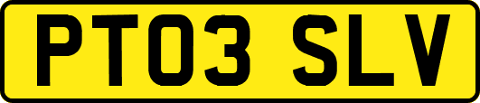 PT03SLV