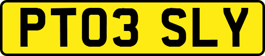 PT03SLY