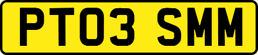 PT03SMM