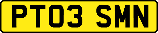 PT03SMN