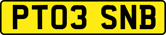 PT03SNB