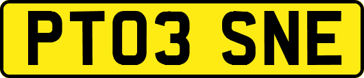 PT03SNE
