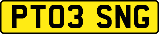PT03SNG