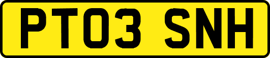 PT03SNH