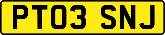 PT03SNJ