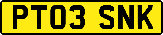 PT03SNK