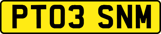 PT03SNM