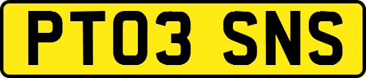 PT03SNS