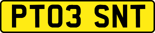 PT03SNT
